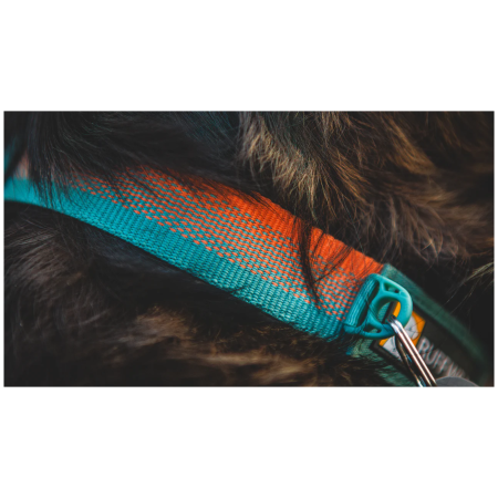 Collier pour chien Ruffwear Front Range™ Collar
