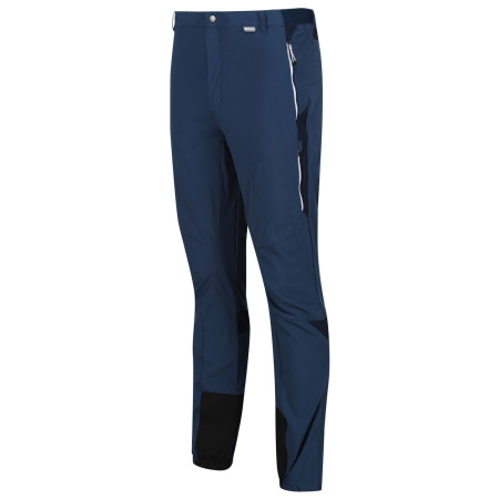 Pantalon homme Regatta Mountain Trs III regular