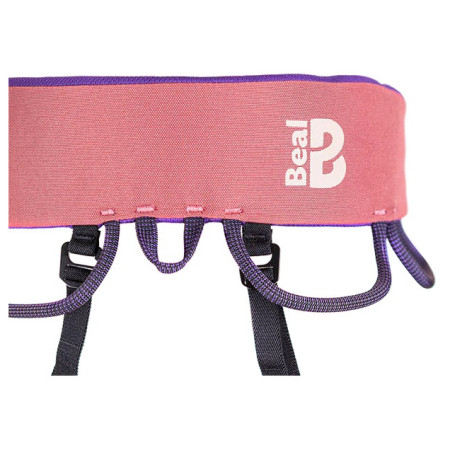 Harnais Beal Trinity