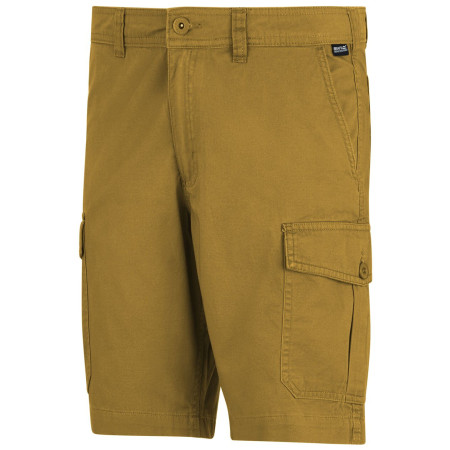 Shorts homme Regatta Ruwan Shorts