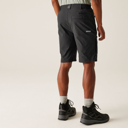 Shorts homme Regatta Highton Shorts Long II