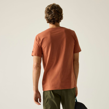 T-shirt homme Regatta Cline IX