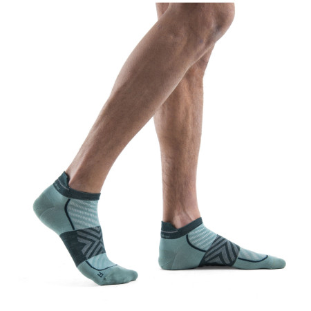 Chaussettes homme Icebreaker Men Merino Run+ Ultralight Micro