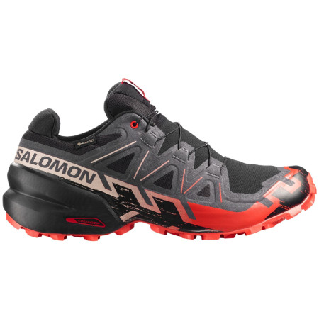 Chaussures de running hommes Salomon Speedcross 6 Gore-Tex