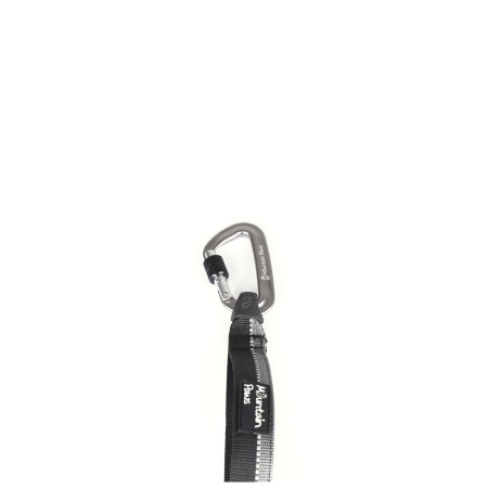 Laisse avec amortisseur Mountain Paws Shock Absorber Dog Lead