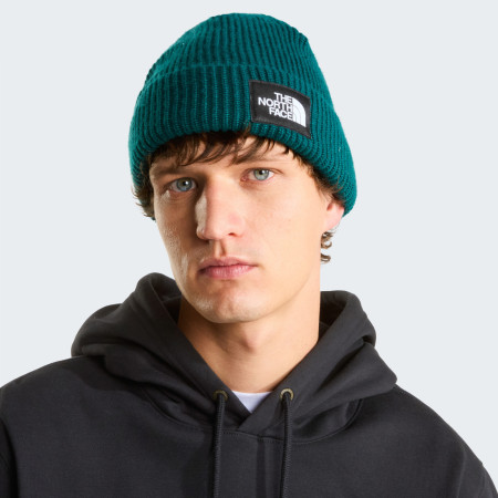 Bonnet The North Face Salty Lined Beanie