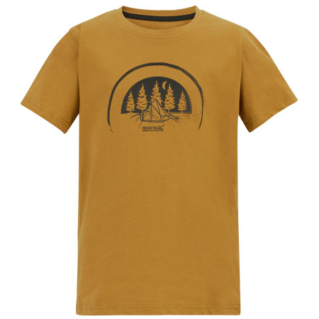 T-shirt enfant Regatta Bosley Wood Brown brun Wood Brown