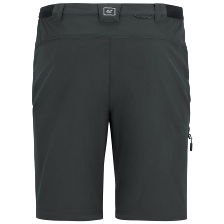 Pantalon homme Regatta Anti-Insect Travel Light Z/O Trousers