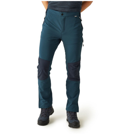 Pantalon homme Regatta Questra V