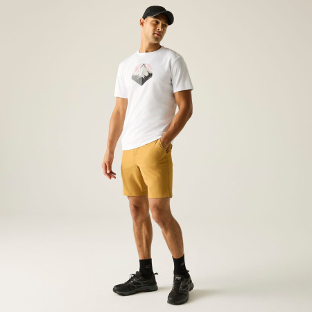 T-shirt homme Regatta Fingal Graphic T-Shirt