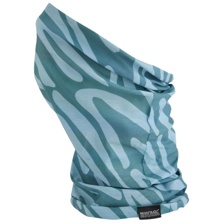 Foulard multifonctions enfant Regatta Kids Printed Multitube II vert Sprgrn/GrHzA