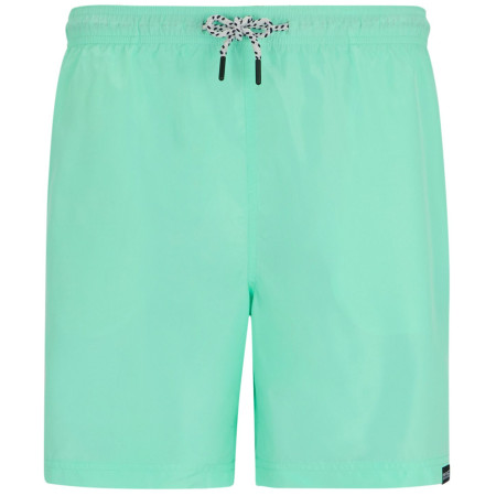 Shorts homme Regatta Mackleyna Swim Short