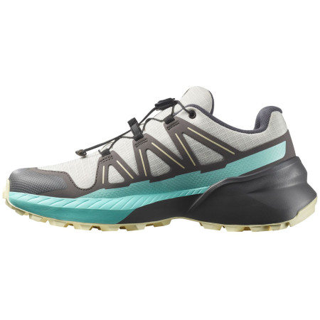 Chaussures femme Salomon Speedcross Peak