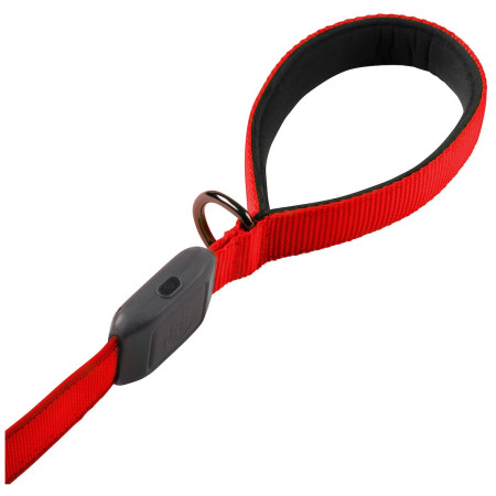 Laisse pour chien Nite Ize LED NiteDog