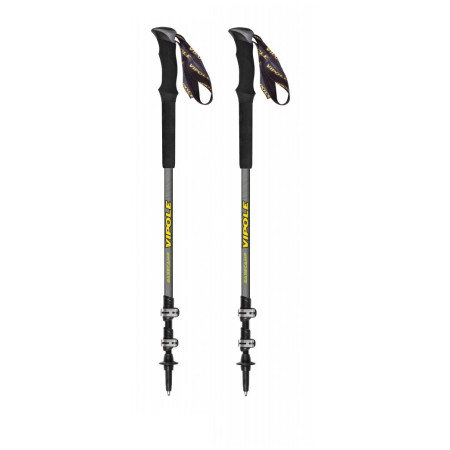 Bâtons randonnée Vipole Base Camp Ql Mid Green Dlx girs