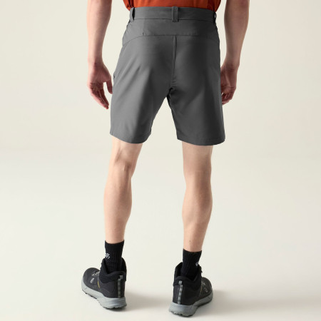 Shorts homme Dare 2b Torrek II Short