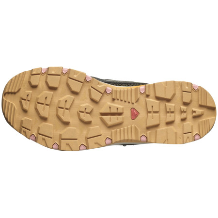 Chaussures femme Salomon Techamphibian 5