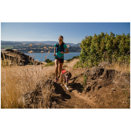 Harnais pour chien Ruffwear Switchbak™ Harness