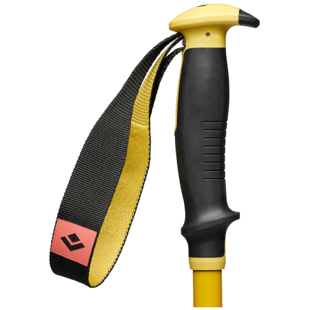 Bâtons de ski alpin Black Diamond Traverse 3 Ski Poles