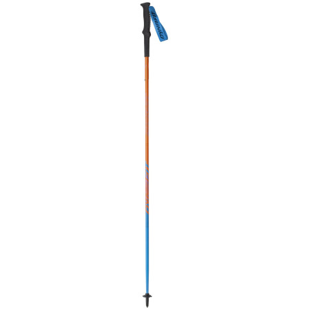 Bâton Dynafit Vertical Pole bleu general Lee / methyl blue