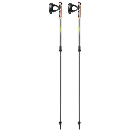 Bâtons de marche nordique Leki Spin Shark SL