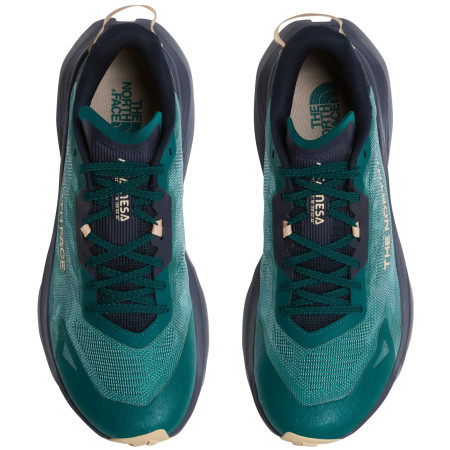 Chaussures de running hommes The North Face M Altamesa 300 V2