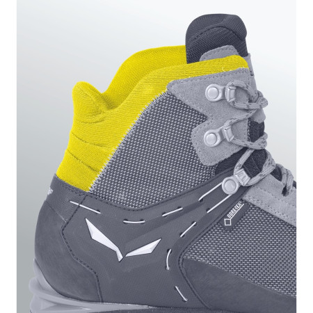 Chaussures femme Salewa WS Rapace GTX