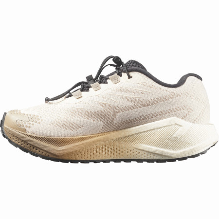 Chaussures running femme Salomon Aero Blaze 4 Grvl W