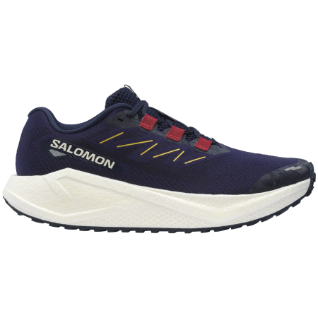 Chaussures de running hommes Salomon Aero Blaze 3 Grvl