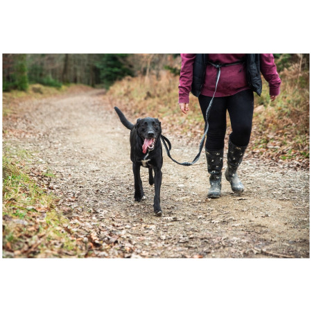 Laisse avec amortisseur Mountain Paws Shock Absorber Dog Lead