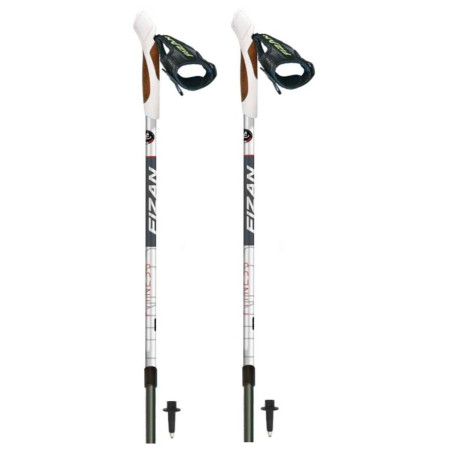 Bâton Fizan NW Fitness gris / noir