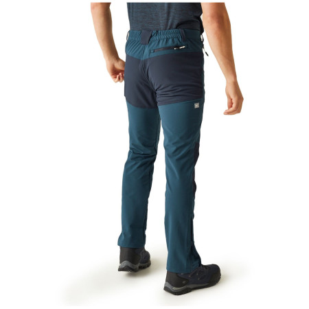Pantalon homme Regatta Questra V