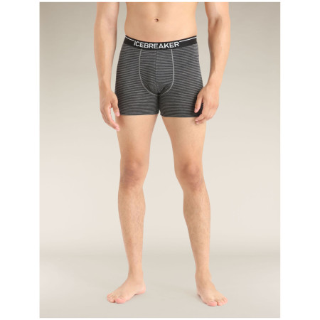 Caleçon homme Icebreaker Mens Anatomica Boxers