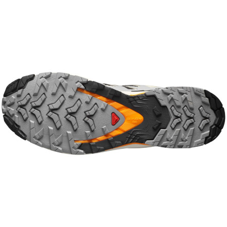 Chaussures homme Salomon Xa Pro 3D V9