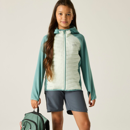 Veste enfant Regatta Junior Andreson Hybrid IvyMossOMist
