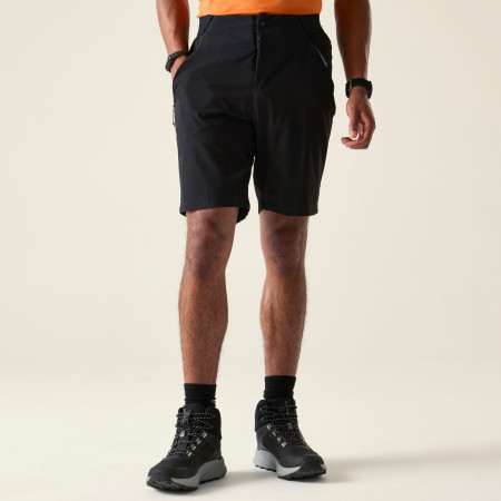 Shorts homme Dare 2b Torrek Lite Short