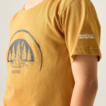 T-shirt enfant Regatta Bosley Wood Brown