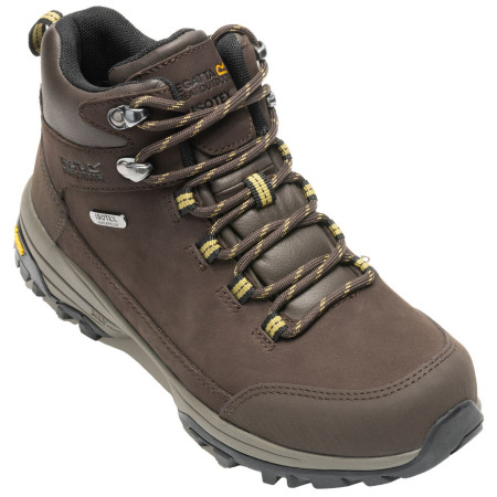 Chaussures femme Regatta Womens Burrell Leather Boot II brun Chestnut