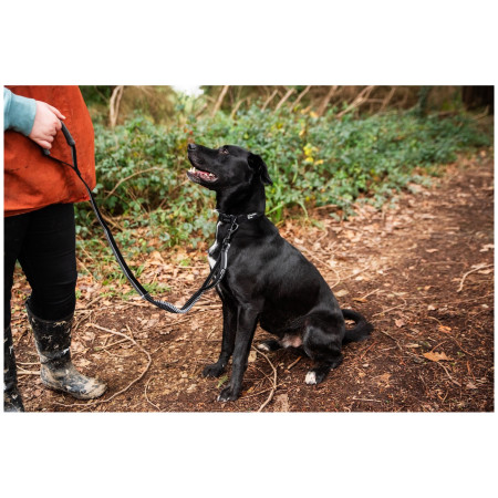 Laisse avec amortisseur Mountain Paws Stretch Dog Lead