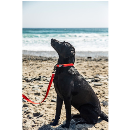 Laisse pour chien Mountain Paws Waterproof Dog Lead