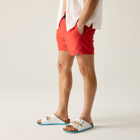 Maillot de bain homme Regatta Mawson Swim Shorts III
