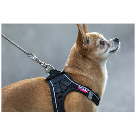 Laisse pour chien Curli Ultra Strong Pocket Leash