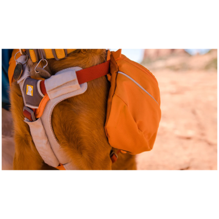 Sac à dos pour chien Ruffwear Approach™ Pack