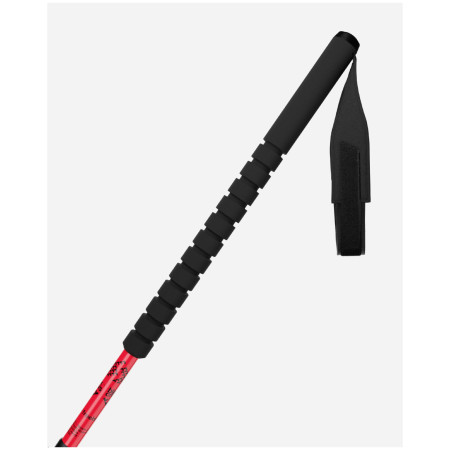 Bâtons de ski alpin Black Crows Duos Freebird