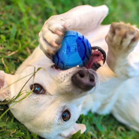 Jouet pour chien Nerf Dog Set Lightning & Sonic