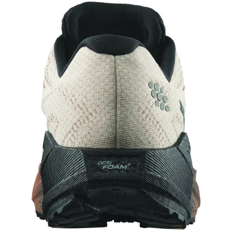 Chaussures homme Salomon Aero Blaze 4 Grvl Gtx
