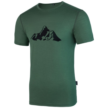 T-shirt homme Warg Merino Mountain 165 Short green Green
