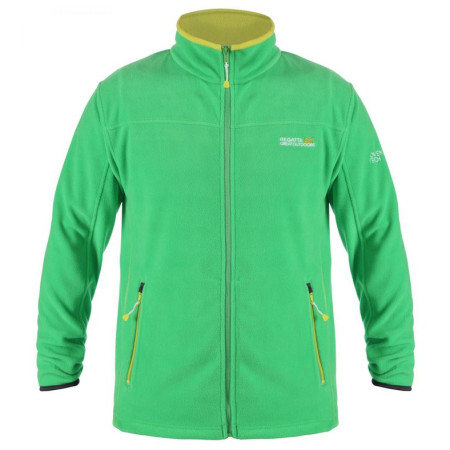 Sweat-shirt homme Regatta Stanton II green