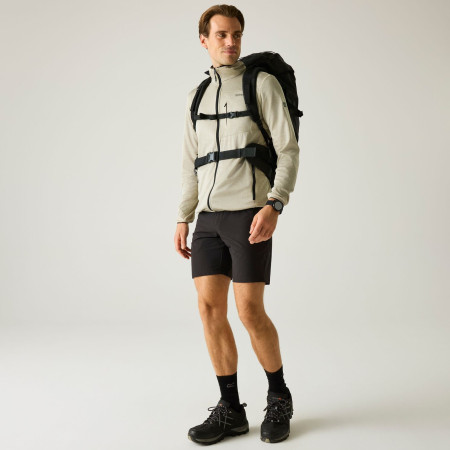Sweat-shirt homme Regatta Hillden Midlayer
