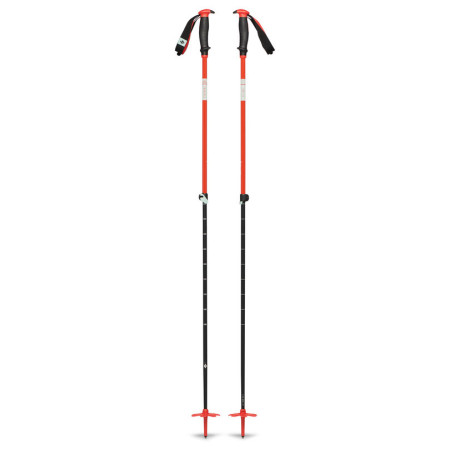 Bâtons de ski alpin Black Diamond Traverse Ski Poles